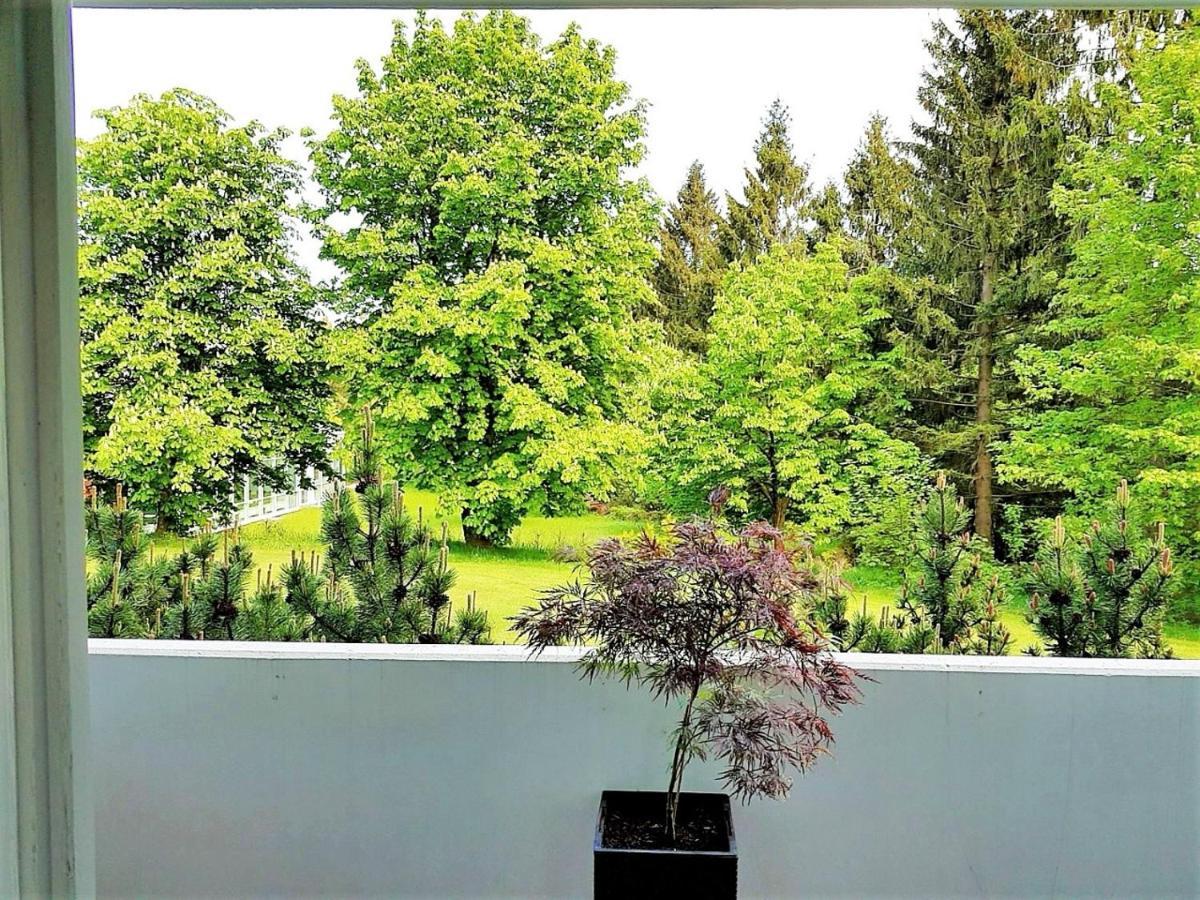Grossdorf Ferienwohnung Waldsuite Im Harz Goslar Buitenkant foto