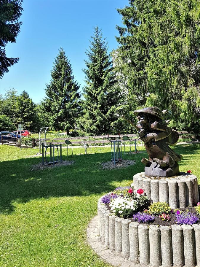 Grossdorf Ferienwohnung Waldsuite Im Harz Goslar Buitenkant foto