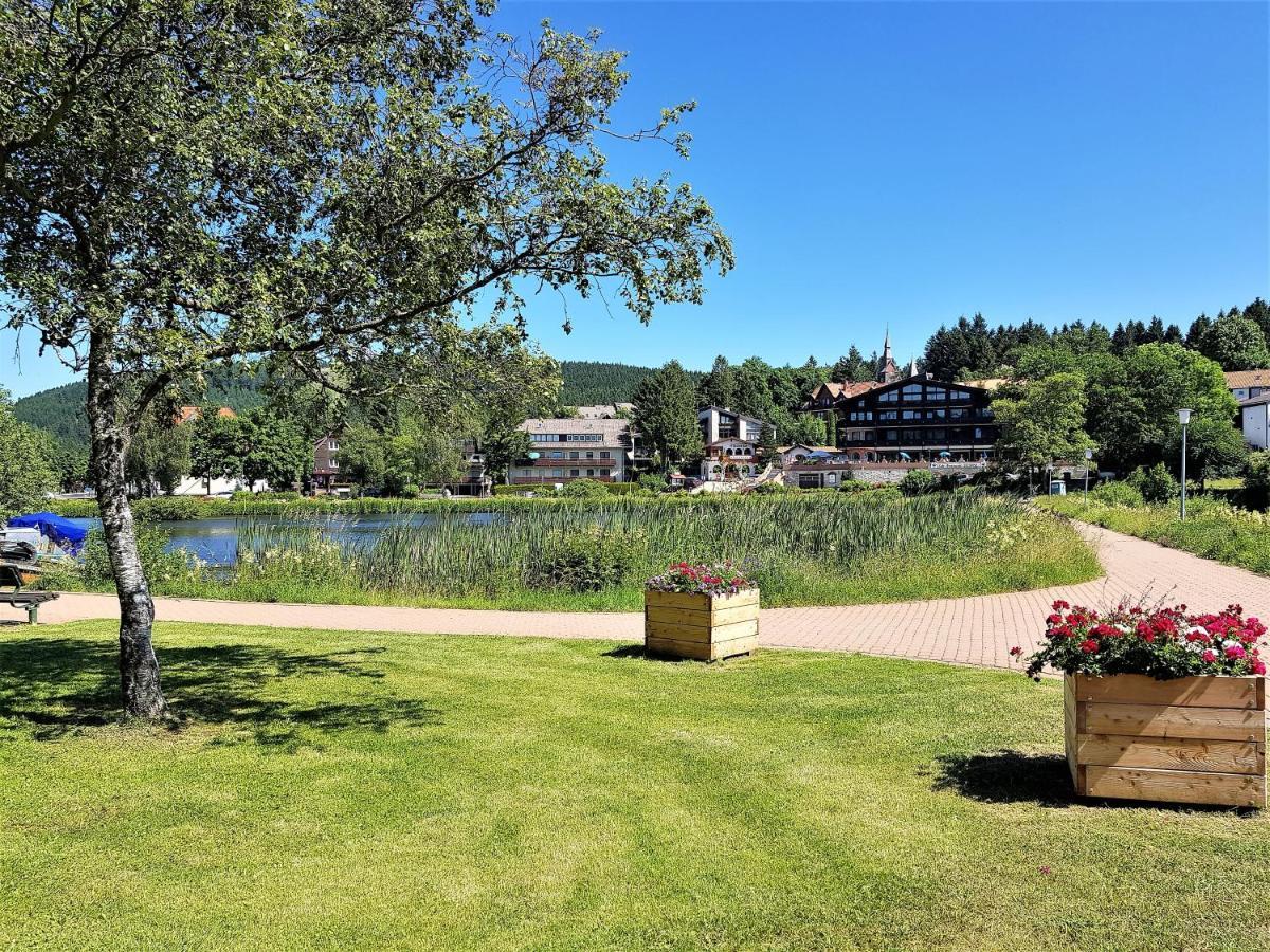 Grossdorf Ferienwohnung Waldsuite Im Harz Goslar Buitenkant foto